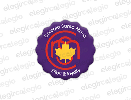 Instituto Santa María - Logo Rectangular