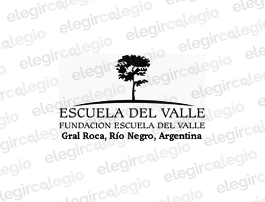 Colegio Del Valle - Logo Rectangular