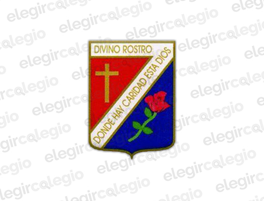 Colegio Divino Rostro - Logo Rectangular