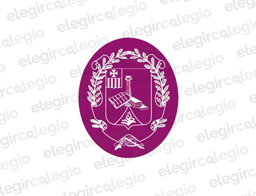 Instituto Padre Ansaldo - Logo Rectangular