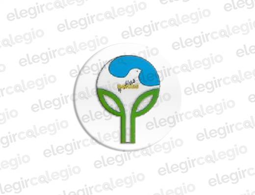 Instituto Raices y Alas - Logo Rectangular