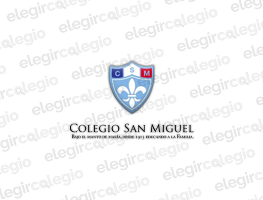 Instituto San Miguel - Logo Rectangular