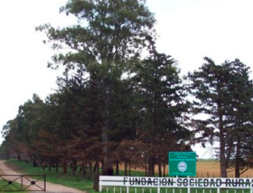 Instituto Fundación Sociedad Rural Argentina - Imagen destacada