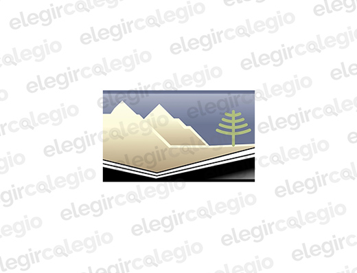 Tecnológico del Sur - Logo Rectangular